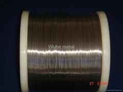 titanium wire