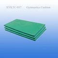 Gymnastics Cushion