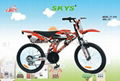 Motor Style Bicycle