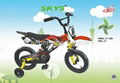Motor Style Bicycle 4