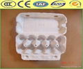 Egg Tray Machine (3*8)