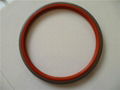 TA oil seal 1