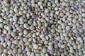 lentils