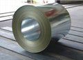 GI/hot-dipped galvanized steel sheet coil 2