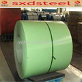 ppgi galvanized steel coils 1