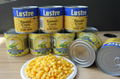 CANNED SWEET CORN 884#