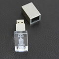 Crystal USB Flash Drive 1