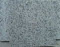 G355 Granite Slabs 1