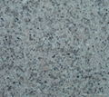 G355 Granite Slabs 2