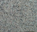 G364 Granite Tiles 1