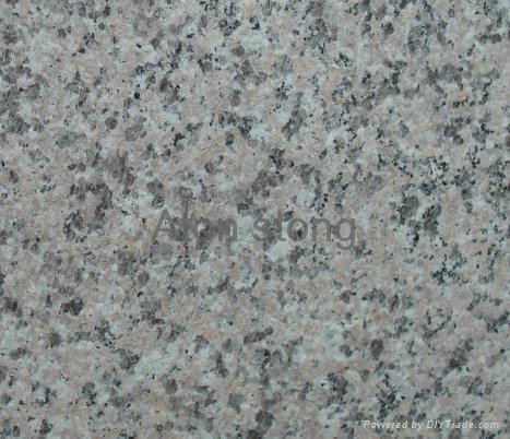 G364 Granite slab 2
