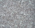 G309 Granite Tiles 1