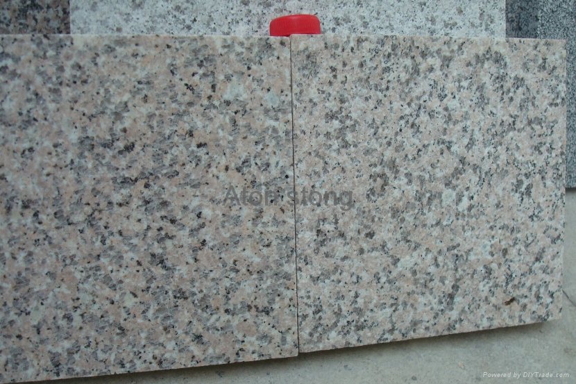 G364 Granite Tiles 3