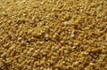 soybean meal 1