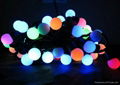   LED string ball light  1