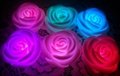 Led rose wedding light 3