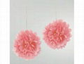 LED pom flower balls