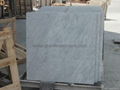 Bianco Carrara White Marble Tile