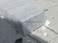 Bianco Carrara White Marble Tile 2