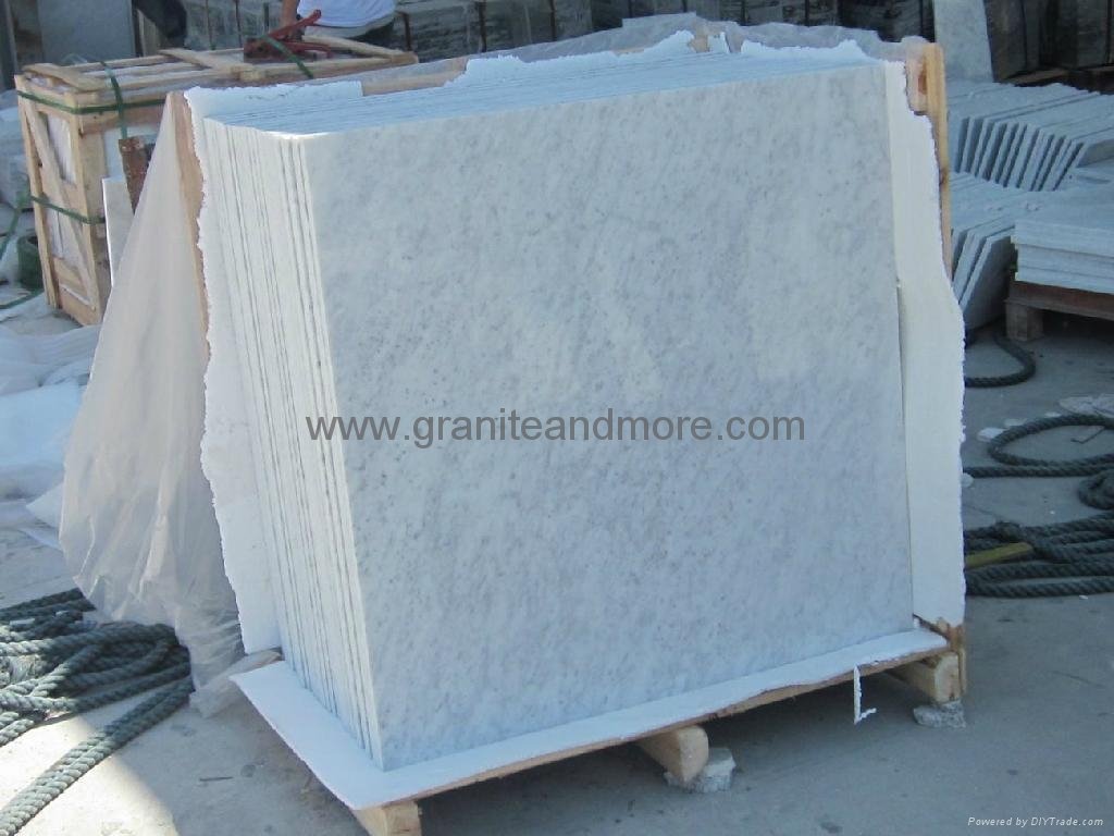 Bianco Carrara White Marble Tile 3