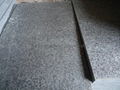 G684 Black Basalt Paver