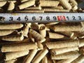 Sell rice husk pellet