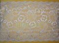 Stretch Lace Trim 1