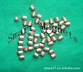 SmCo magnets 1