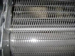 Stainless steel conveyor belt