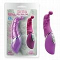 sex toys-Dolphin Playing 2