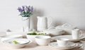 White Porcelain Dinnerware sets for restaurant hotel and home