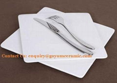  White Porcelain Square flat plates for restaurant hotel