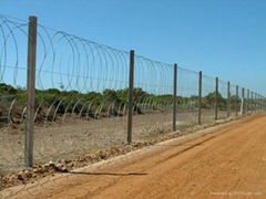 razor wire