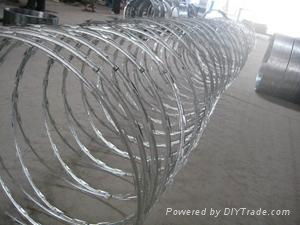 razor wire  2