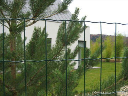 Holland Wire Mesh Fence  2