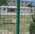 Holland Wire Mesh Fence  4