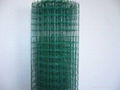 Holland Wire Mesh Fence  5