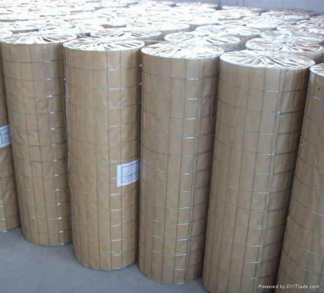 welded wire mesh  4