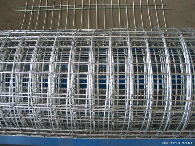 welded wire mesh  5