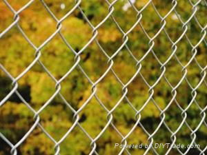 chain link fence 4