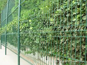 triangular wire mesh fence  2