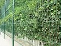triangular wire mesh fence  2