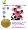 Echinacea Herb Extract