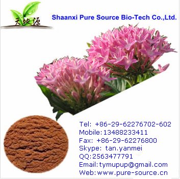 Rhodiola rosea extract for cosmetic raw materials