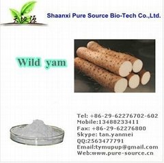 Wild Yam Extract Powder