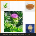 Milk Thistle Extract 1