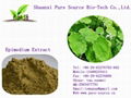 Epimedium Extract 2