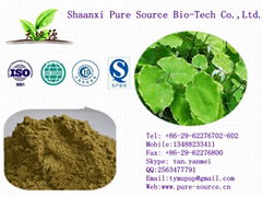 Epimedium Extract