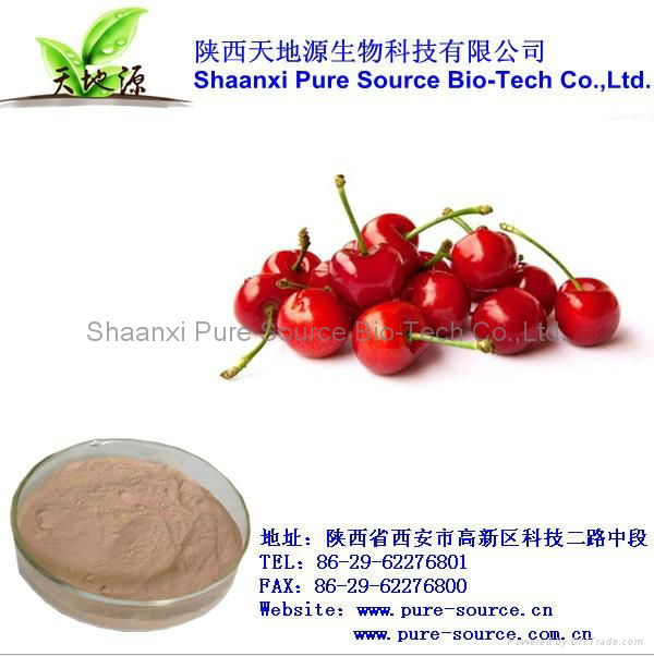 Cherry Extract vitaminC 2