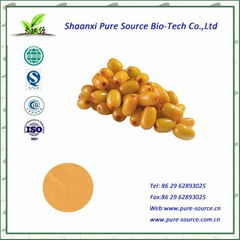 Fructus Hippophae P.E/ sea buckthorn extract powder  Sea buckthorn flavone 5%   